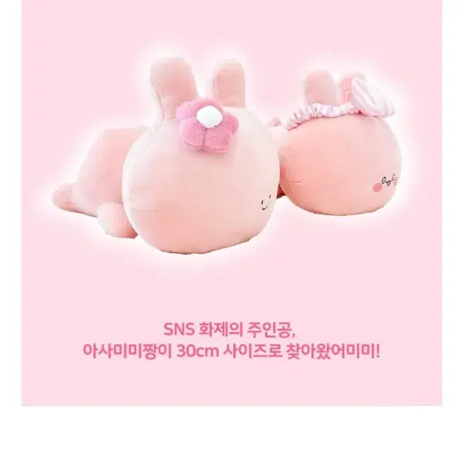 [BUNJANG] Jjang Friends Asamimichan Lying 38cm Doll / 짱프렌즈 정품 아사미미짱 라잉 38cm인형(새상품)