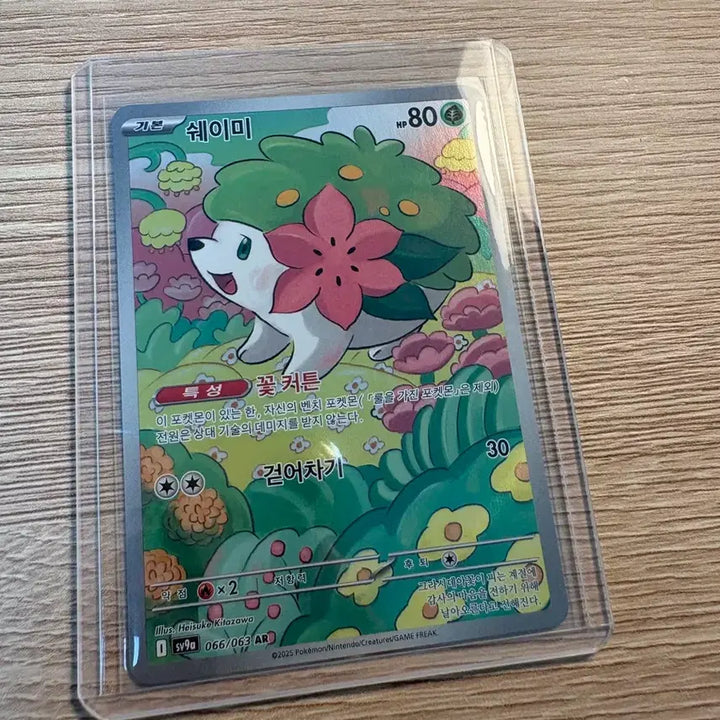 [BUNJANG] Pokemon Card Shaymin AR 066/063 / 포켓몬 카드 쉐이미 AR 066/063