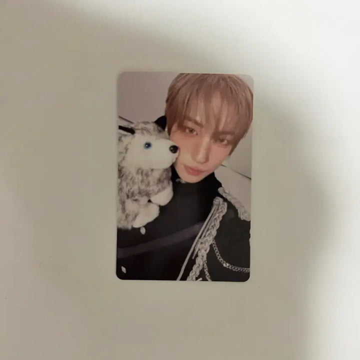 [BUNJANG] ENHYPEN BLAZE THE WAY Tour RENÉZONES Taki Photocard / 앤팀 BLAZE THE WAY 투어 르네존 포카 타키