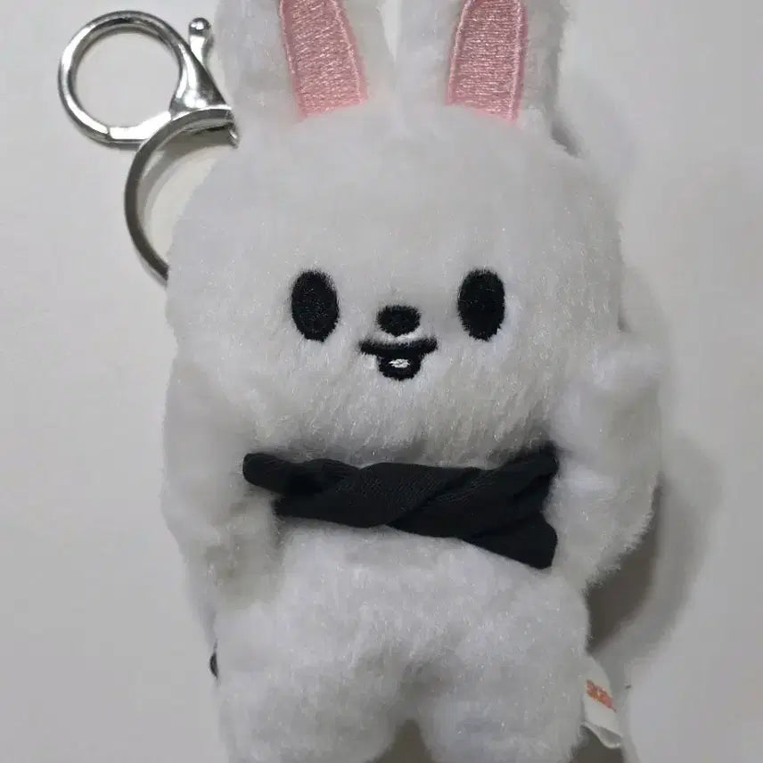 [BUNJANG] Ribbit Skiu Magnet Plush Keychain / 리빗 스키주 마그넷 플러시 키링