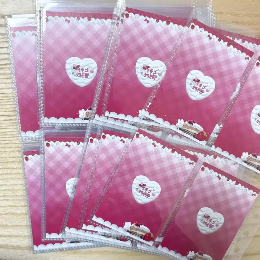 [BUNJANG] Strawberry Rabbit Guardian Photocard Binder (60 Pages) / 토끼지킴이 딸기 포카 바인더 대지 60장