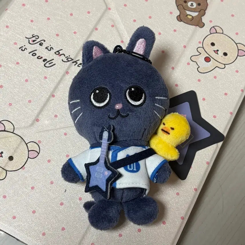 [BUNJANG] RIIZE Wonbin 10cm Plush Doll (Unsealed) / 리라즈 토냥덕 10cm 라이즈 원빈 인형