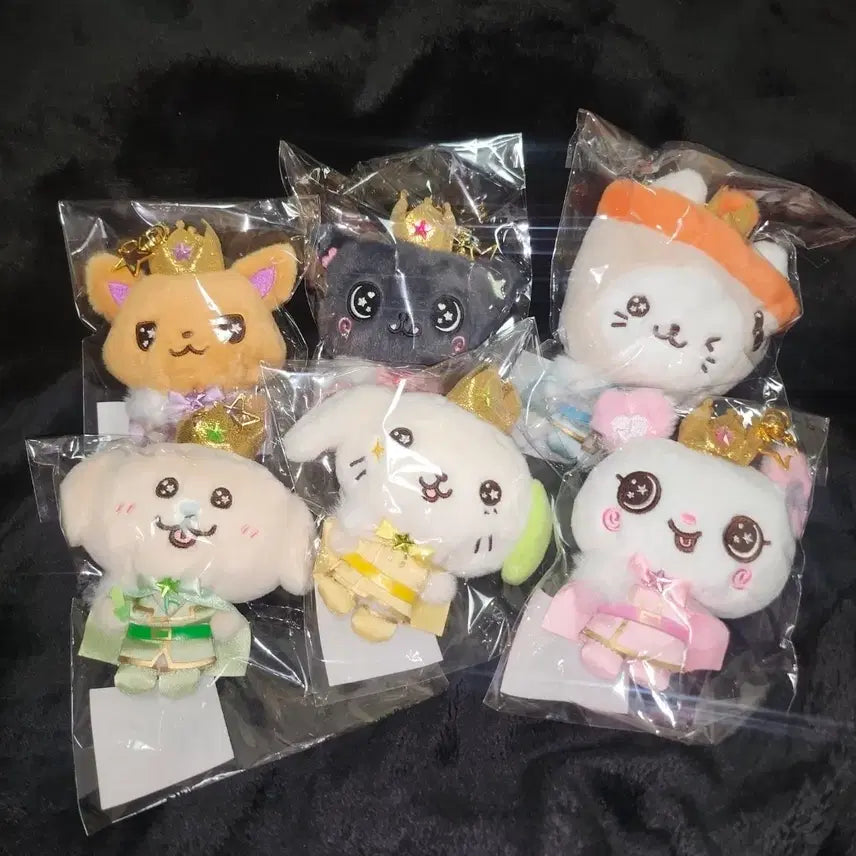 [BUNJANG] Prince Wishdoll Bundle Set Photocard Holder / 프린스 위시돌 미개봉 일괄 양도 시오닝 쿠리 버블냥 댕트리버 룐룐 팡이
