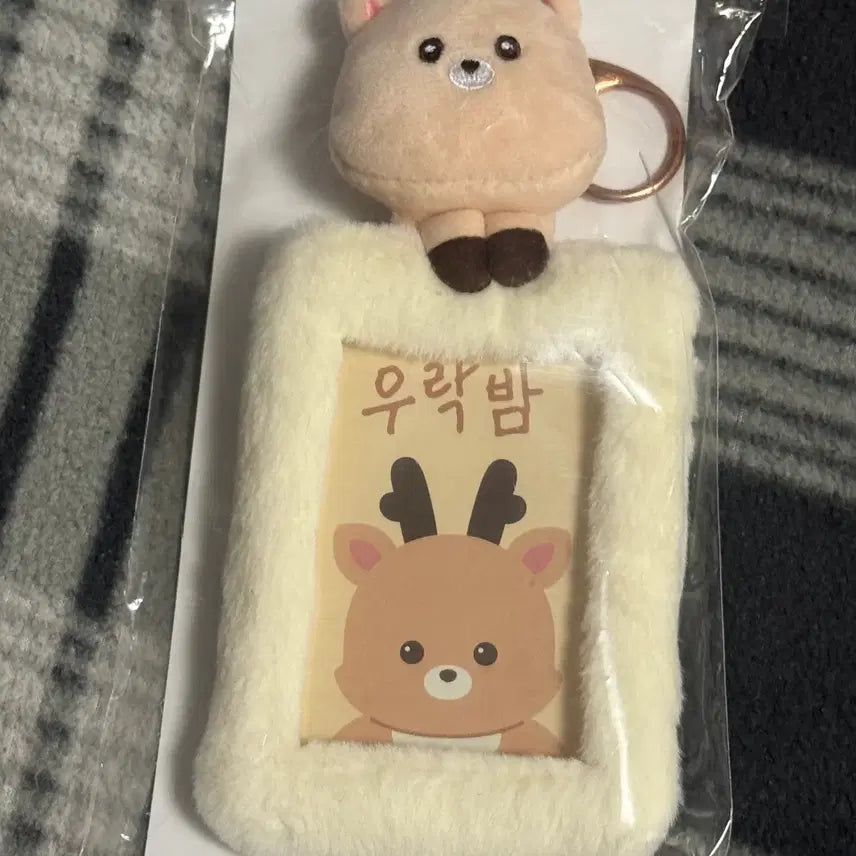 [BUNJANG] RIIZE Little RIIZE Photocard Holder Urakbam / 라이즈 리틀라이즈 포카홀더 우락밤