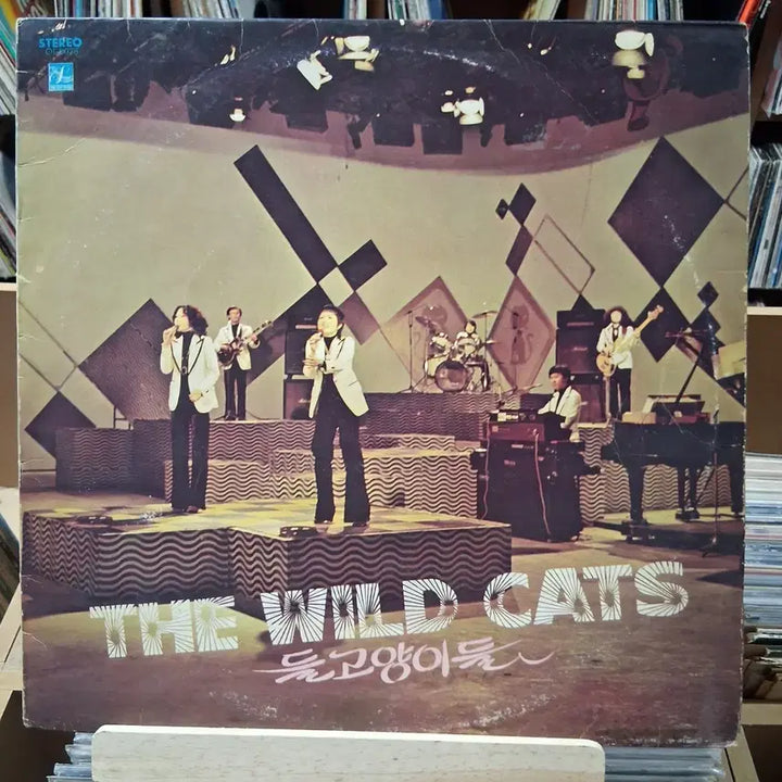 [BUNJANG] The Wild Cats Early Korean LP / 가요 초반 더 와일드 캣츠 (들고양이들) LP 할인