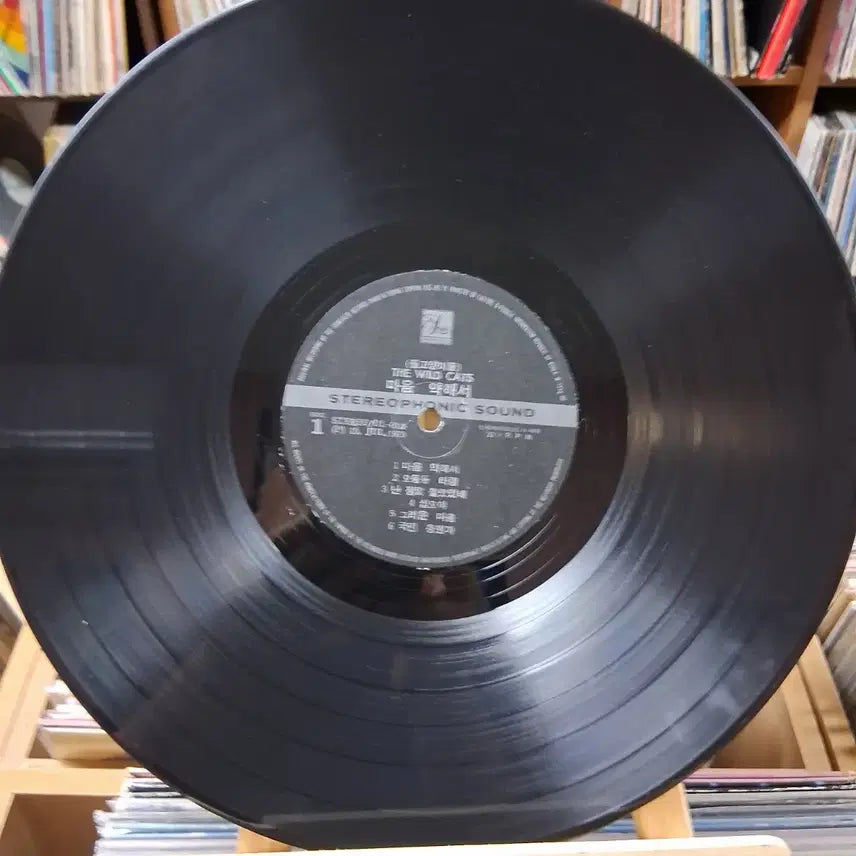 [BUNJANG] The Wild Cats Early Korean LP / 가요 초반 더 와일드 캣츠 (들고양이들) LP 할인