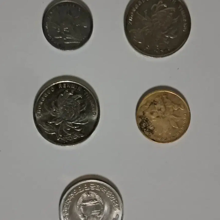 [BUNJANG] Assorted Chinese and World Coins Collection / 중국동전 기타동전