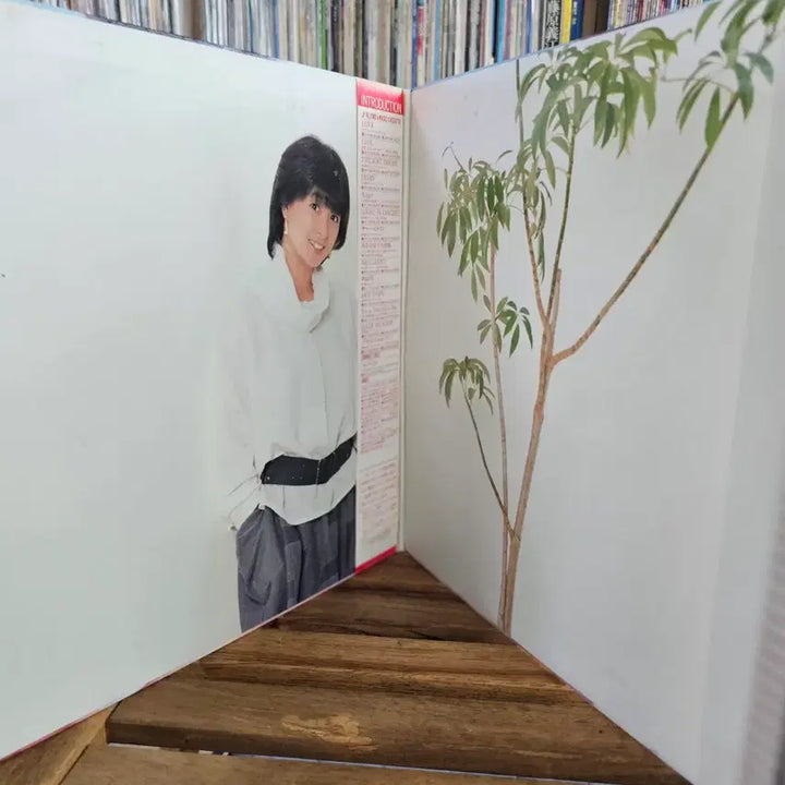 [BUNJANG] Naoko Kawai Prism Compilation LP / (시티팝, 카와이 나오코 베스트) Naoko Kawai LP