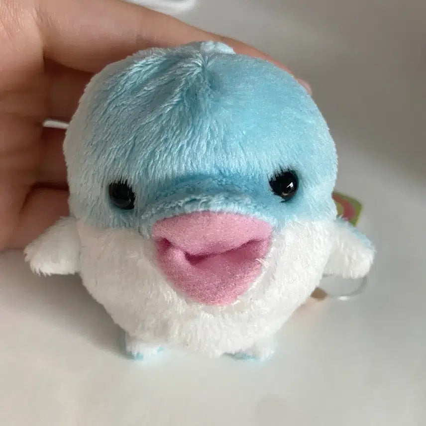 [BUNJANG] Minibeans Dolphin Plush / 미니빈즈 돌고래 인형 minibeans