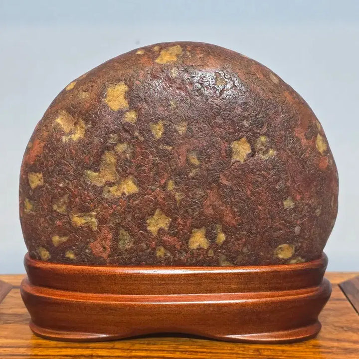 [BUNJANG] Chinese Scholar Stone with Yellow Flowers / 26063010 노란 꽃이 예쁘게 핀 중국 수석 팝니다