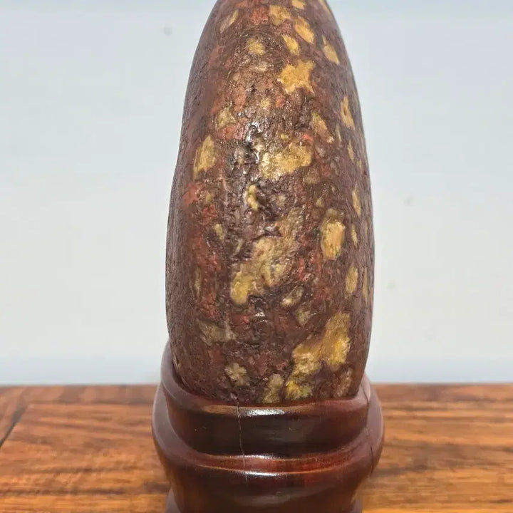 [BUNJANG] Chinese Scholar Stone with Yellow Flowers / 26063010 노란 꽃이 예쁘게 핀 중국 수석 팝니다