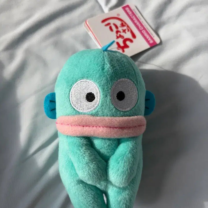 [BUNJANG] Hangyodon Chokorisan Plush / 한교동 촛코리상 초코리상 인형