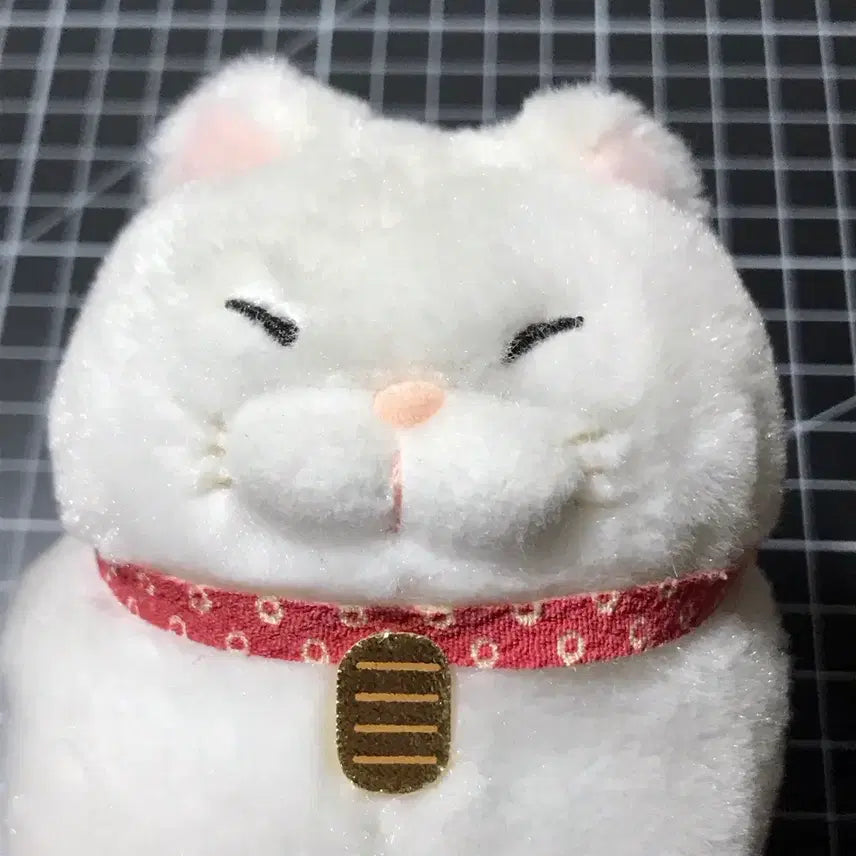 [BUNJANG] Manju Hige Mochi Cat "Mochio" Plush Doll / 만쥬히게 고양이 모치오 인형