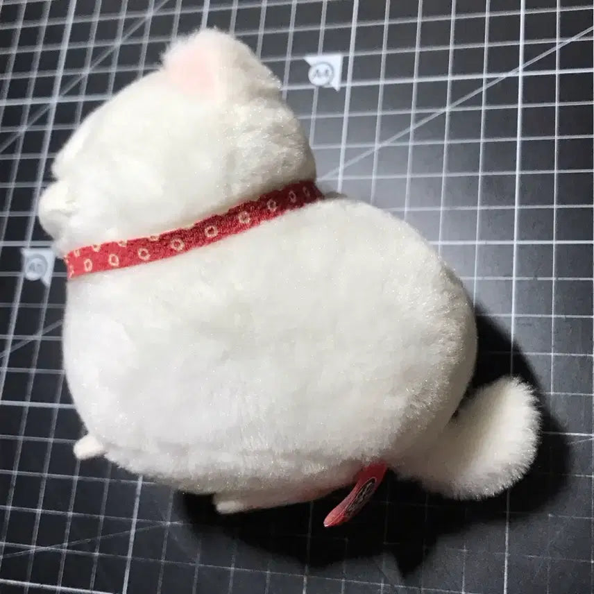 [BUNJANG] Manju Hige Mochi Cat "Mochio" Plush Doll / 만쥬히게 고양이 모치오 인형
