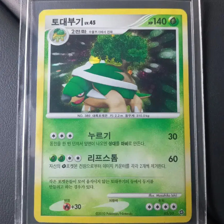 [BUNJANG] Pokemon Card Torterra LV.45 2010 / 토대부기 LV.45 2010 포켓몬카드