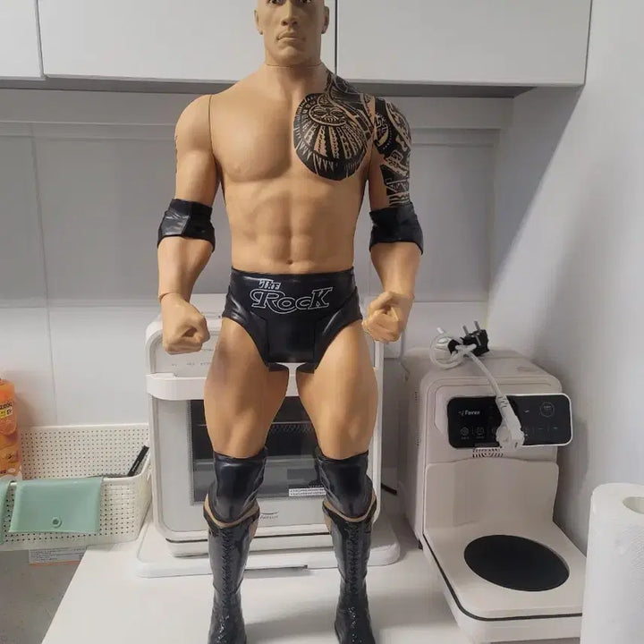 [BUNJANG] Dwayne Johnson &