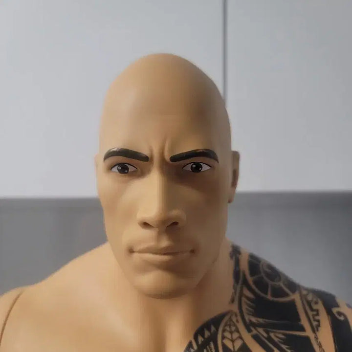 [BUNJANG] Dwayne Johnson &