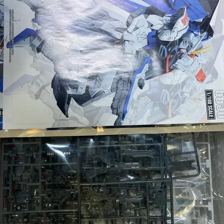 [BUNJANG] Daban 1/100 Freedom Gundam 2.0 Model Kit / MG 1/100 다반 6650 프리덤 2.0 건담