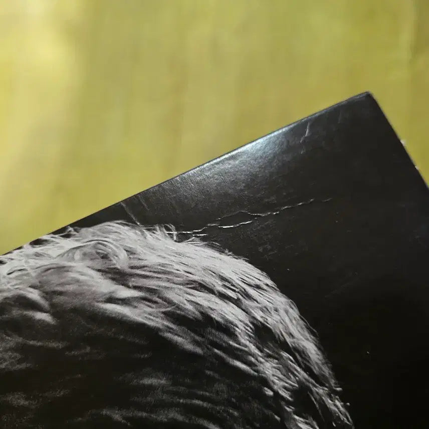 [SOLD OUT] 그레이의 50가지 그림자 LP