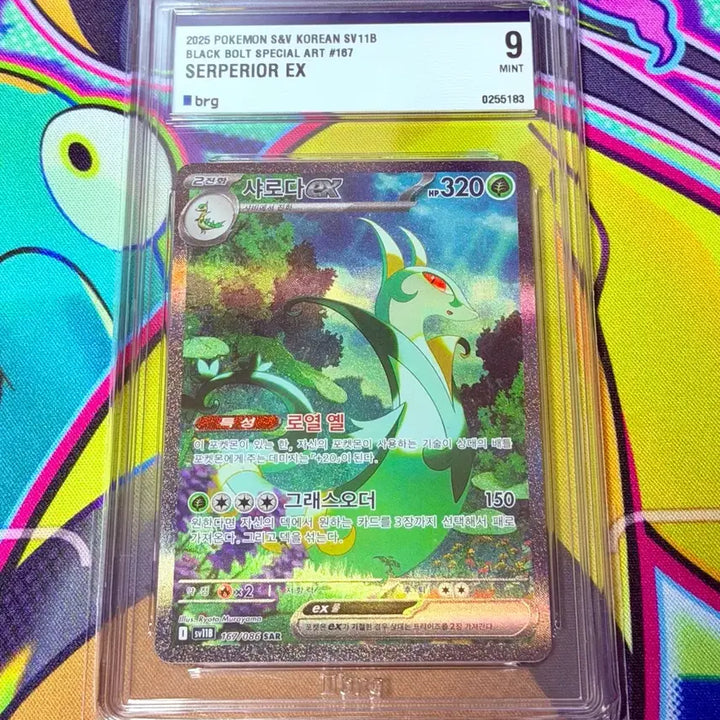 [BUNJANG] Pokemon Card Black Bolt Saruuda SAR / [brg9] 포켓몬카드 블랙볼트 샤로다 SAR