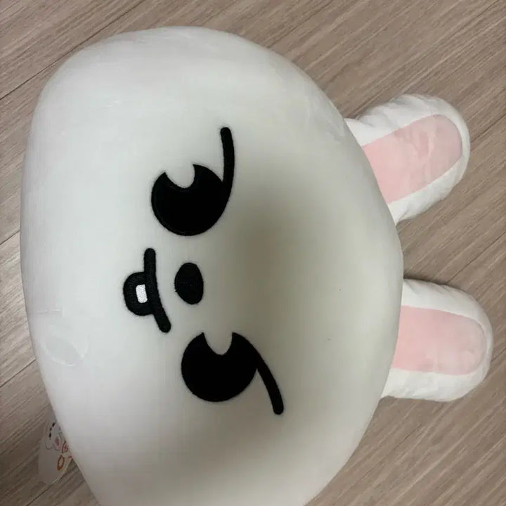[BUNJANG] Stray Kids Lee Know Ribbit Cushion / 스트레이키즈 리노 리빗 쿠션