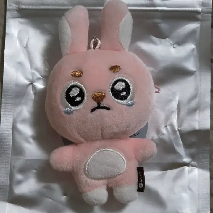[BUNJANG] Day6 Denimals Phil Secret Mini Plush Keyring / 원필 언필터드 데니멀즈 필 시크릿 미니 플러시 키링 뿌앵필끼