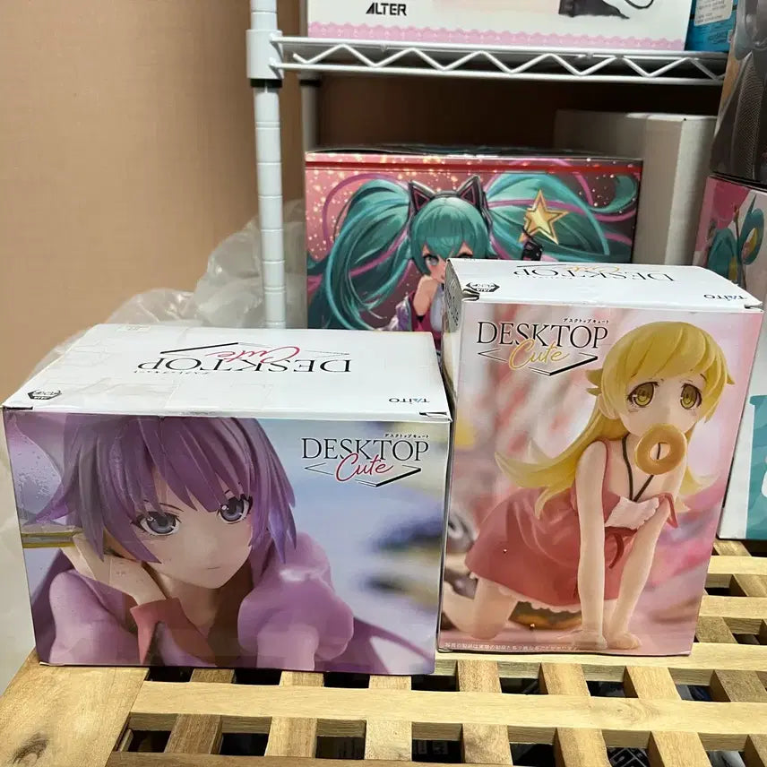 [BUNJANG] Taito Desktop Senjougahara Hitagi &amp; Oshino Shinobu Monogatari Figure / 타이토 테스크탑 센조 히타기, 오시노 시노부 모노가타리