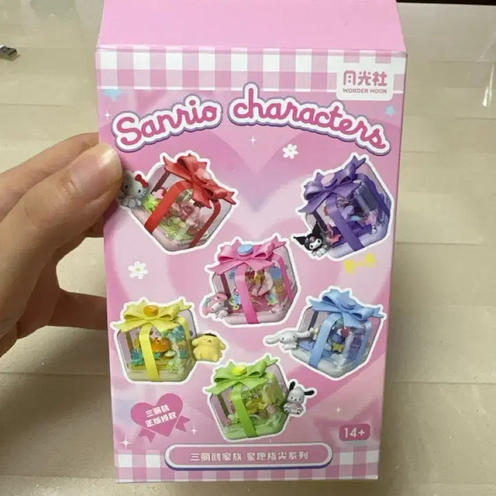 [BUNJANG] Sanrio Ring Series Case Assembly Figure / 산리오 반지 시리즈 케이스 조립 피규어
