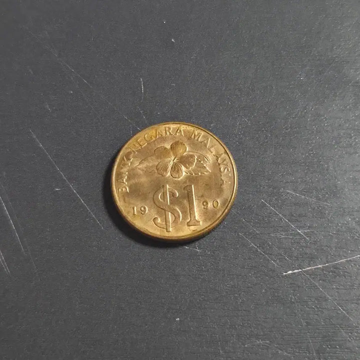 [BUNJANG] Rare Foreign Coins - Malaysia 1 Ringgit &amp; Singapore 1 Cent / 외국 희귀 동전