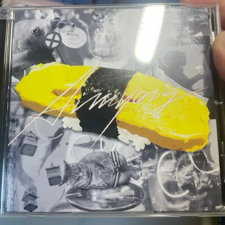 [BUNJANG] Aimyon Tamago CD / 아이묭 tamago 타마고  cd