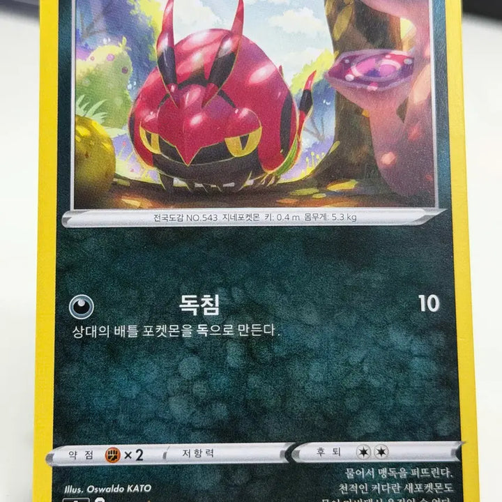 [BUNJANG] Madine S5A 050/070 C Photocard / 마디네 s5a 050/070 C (400원)
