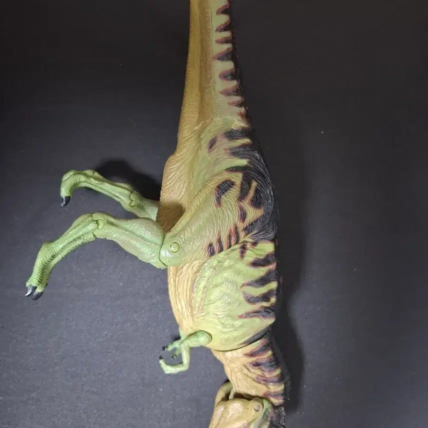 [BUNJANG] Lisaurus Tyrannosaurus Figure / 리사우루스 티라노사우루스 판매합니다.