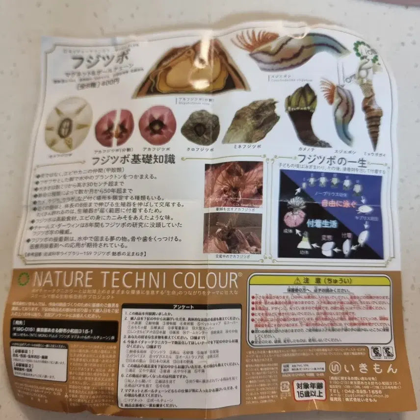 [BUNJANG] Naturel Technicolor Ikimon Barnacle Figure / 미개봉) 네이처테크니컬러 이키몬 따개비 피규어 생물 피규어