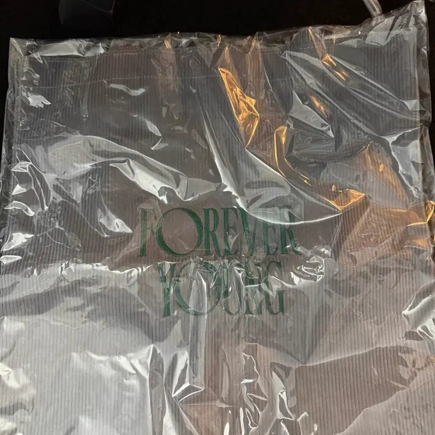 [BUNJANG] Day6 Forever Young Eco Bag / Day6-포에버영 에코백