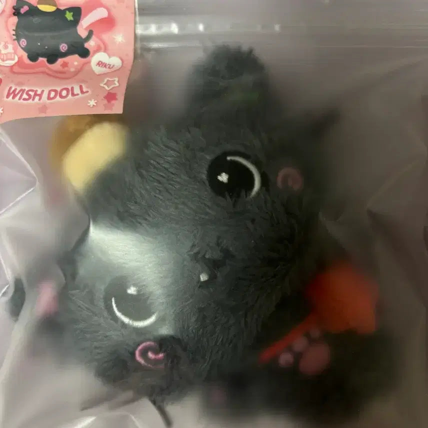 [BUNJANG] Wishdoll Kuri / 위시돌 쿠리