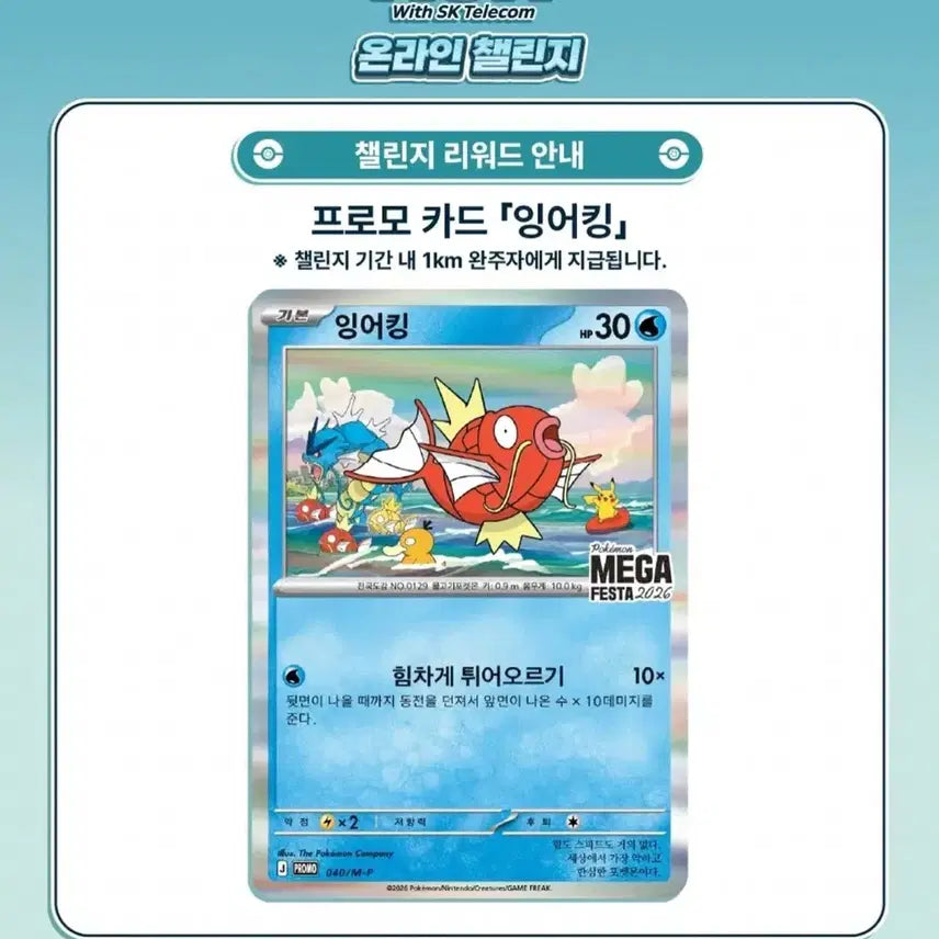 [BUNJANG] Pokemon Magikarp Promo Cards (2) / 포켓몬 잉어킹 프로모 카드 2장