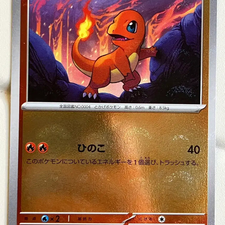 [BUNJANG] Japanese Charizard Moltres Pokemon Promo / 일판 파이리 몬스터볼 프로모