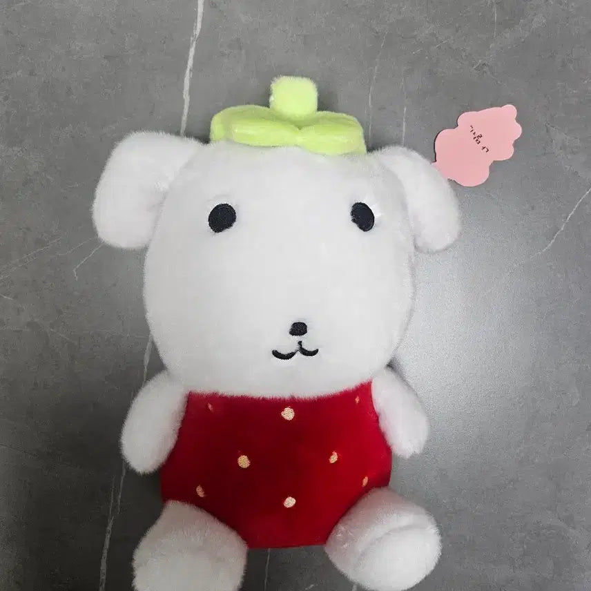 [BUNJANG] Na Ana GanaDi Plush Doll / 가나디 인형과 키링
