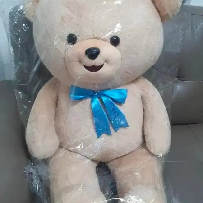 [BUNJANG] Snuggle Limited Edition Oversized Teddy Bear + Snuggle Keyring / 스너글 한정 초대형 곰인형 + 스너글 키링