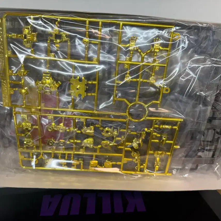 [BUNJANG] Bandai Hobby Gundam Astray Gold Frame Amatsu Mina HG Limited Edition / (건프라 엑스포 한정) HG 건담 아스트레이 골드프레임 아마츠미나