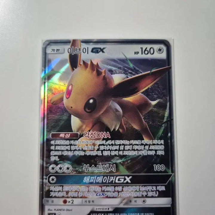 [BUNJANG] EEVEE GX Pokemon Card / 이브이GX 포켓몬카드