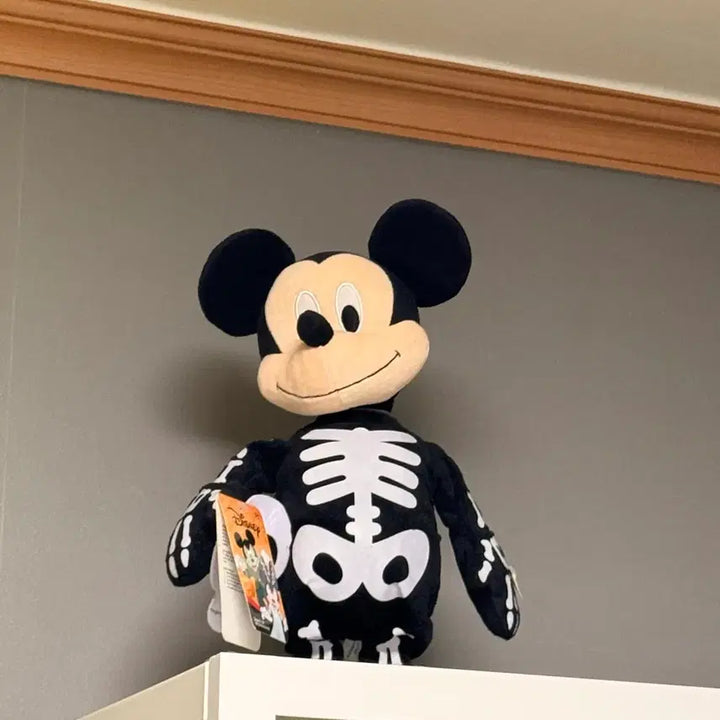 [BUNJANG] Halloween Mickey Mouse Plush / 할로윈미키마우스