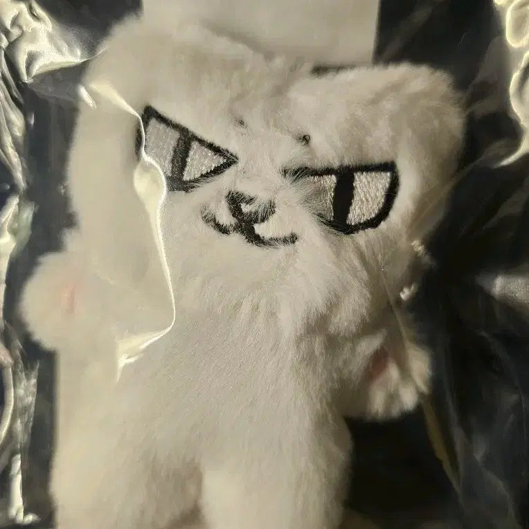 [BUNJANG] N.Flying CHAHOON Byammi Doll (Sealed) / 엔플라잉 차훈 먐미 [미개봉]