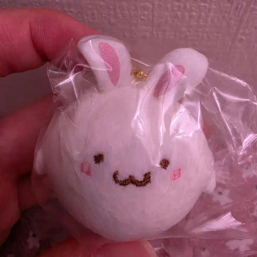[BUNJANG] Sanrio Pompompurin Powder Rabbit Cookie Mascot Doll Keyring / 산리오 폼폼푸린 파우더 토끼 쿠키 배부른 시크릿 마스코트 인형 키링