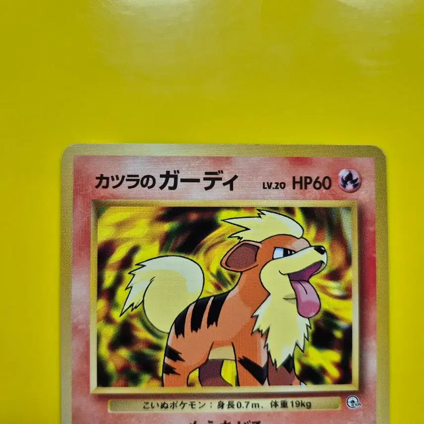 [BUNJANG] Pokemon Card 1996 Vulpix 1st Edition Limited / 포켓몬카드 1996 가디 s-급 팜 1차한정초판 1st 1ed