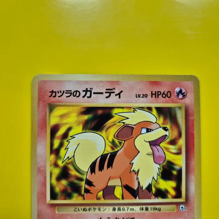 [BUNJANG] Pokemon Card 1996 Vulpix 1st Edition Limited / 포켓몬카드 1996 가디 s-급 팜 1차한정초판 1st 1ed