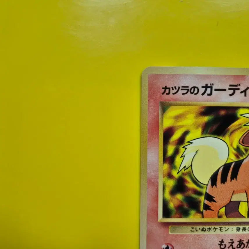 [BUNJANG] Pokemon Card 1996 Magikarp 1st Edition Limited Japanese / 포켓몬카드 1996 ss급 가디 1차한정초판 일판 일본판 1st 1ed