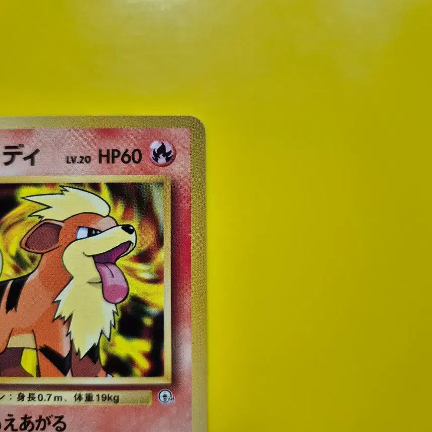 [BUNJANG] Pokemon Card 1996 Magikarp 1st Edition Limited Japanese / 포켓몬카드 1996 ss급 가디 1차한정초판 일판 일본판 1st 1ed