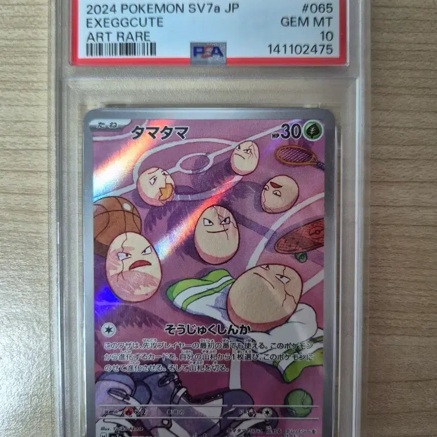 [BUNJANG] Pokemon Ari (Ar) Japanese PSA 10 / 포켓몬 아라리 ar 일판 psa 10