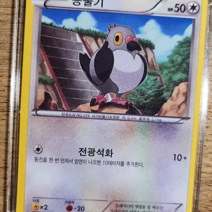 [BUNJANG] Pokemon Card Rolycoly 041/053 C / 포켓몬 카드 콩둘기 041/053 C